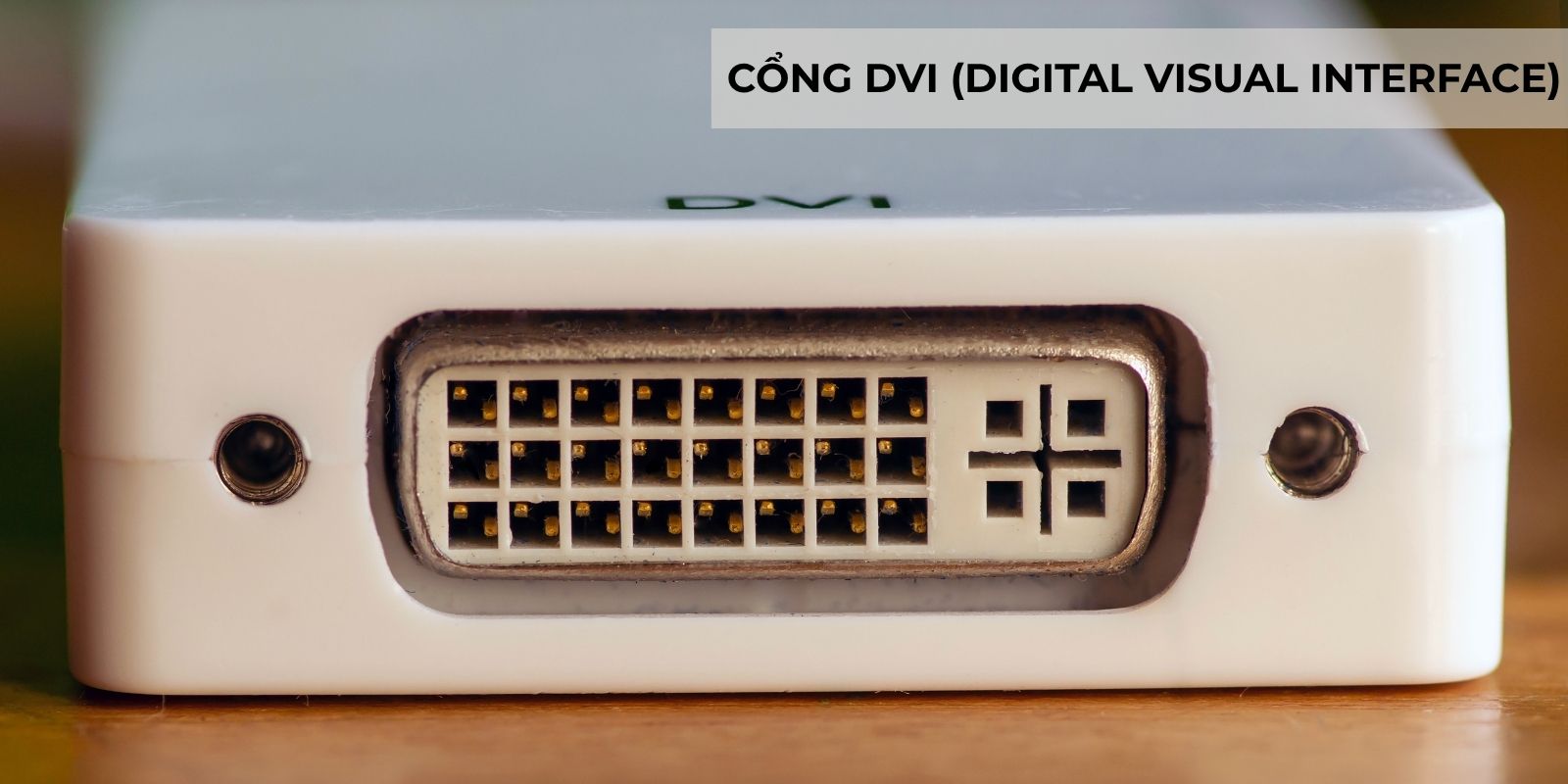 cong-ket-noi-dvi