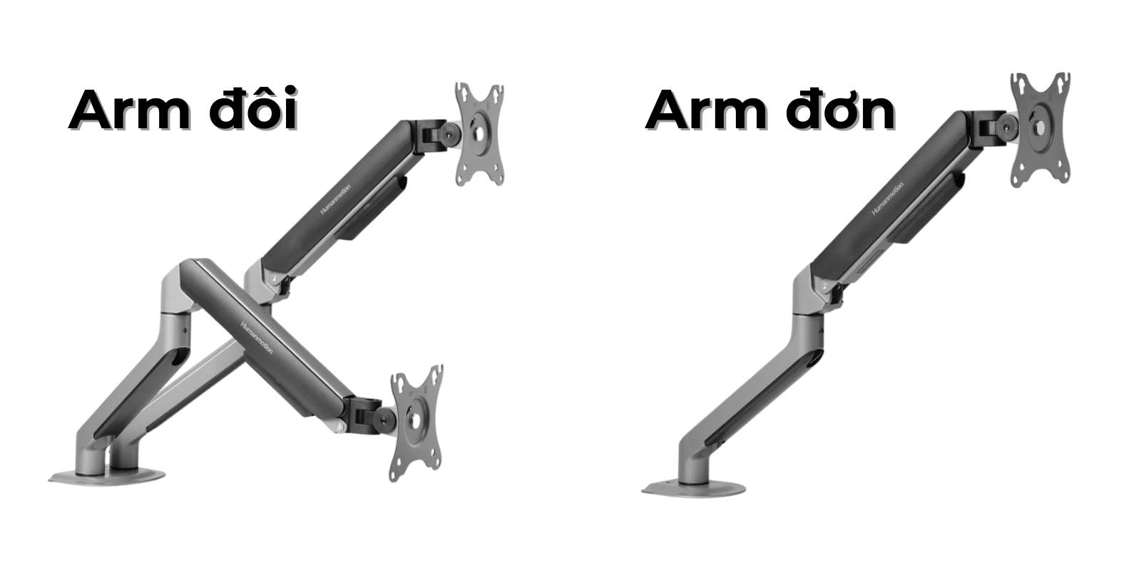 arm đơn hay arm đôi