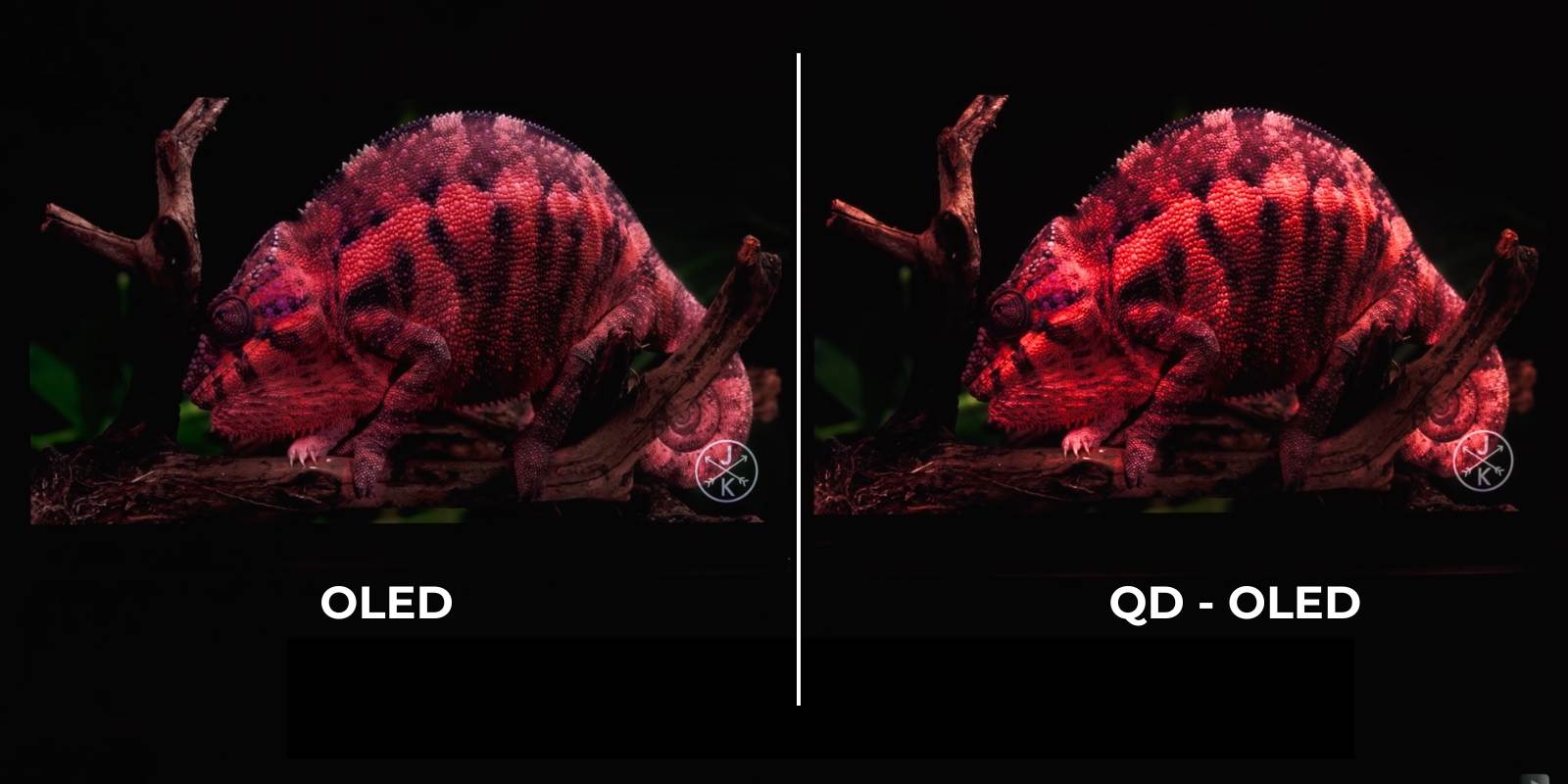 so sánh màn hình oled và qd-oled