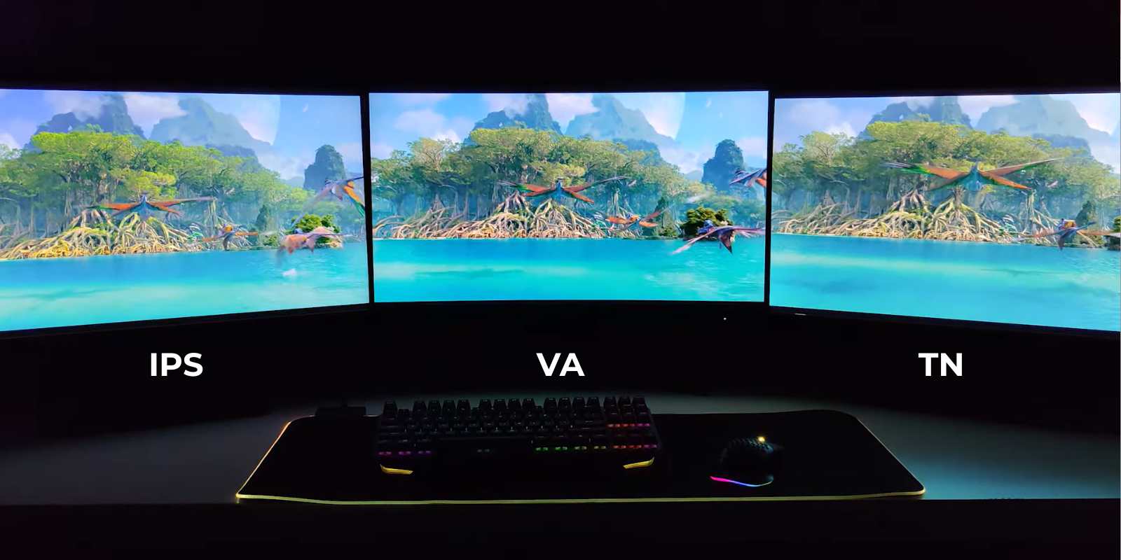 so sánh tấm nền ips va tn