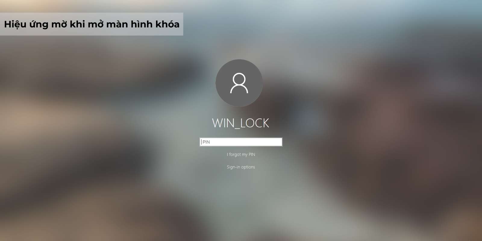 hiệu ứng mờ trên windows 10