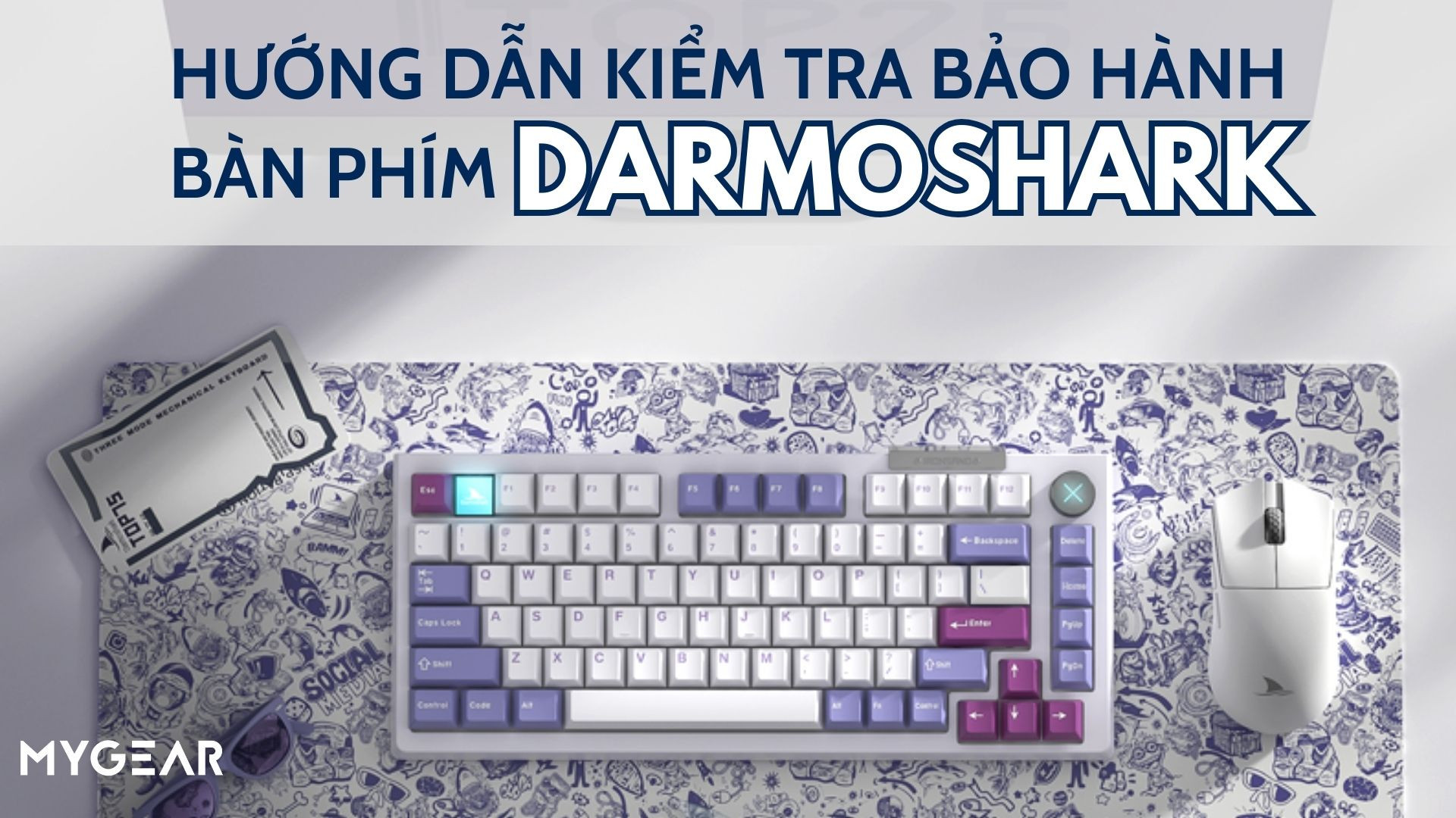 Hướng dẫn kiểm tra bảo hành bàn phím Darmoshark