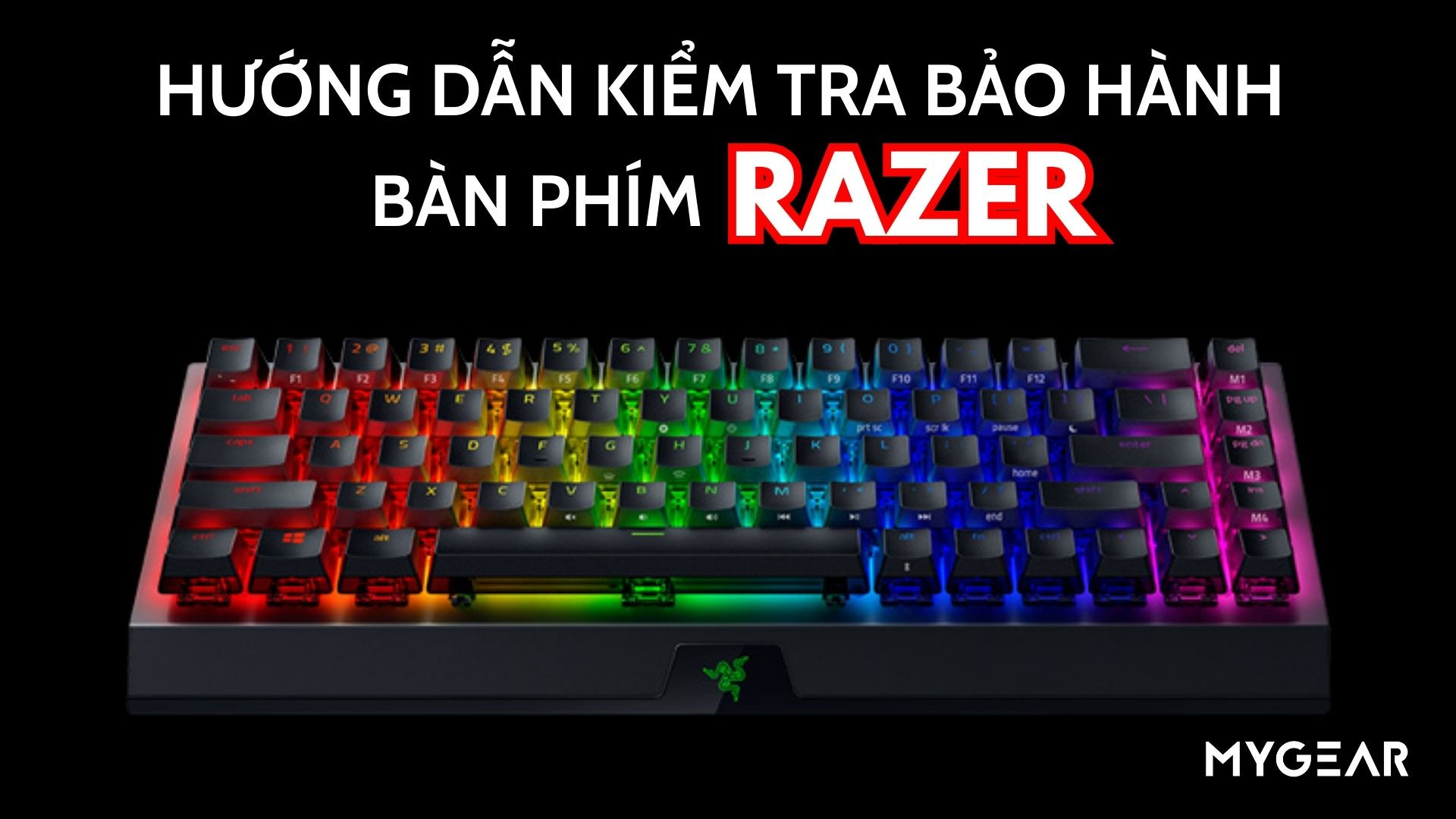 Hướng dẫn kiểm tra bảo hành bàn phím Razer