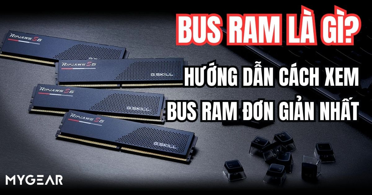 Bus RAM là gì? Hướng dẫn cách xem bus RAM đơn giản nhất