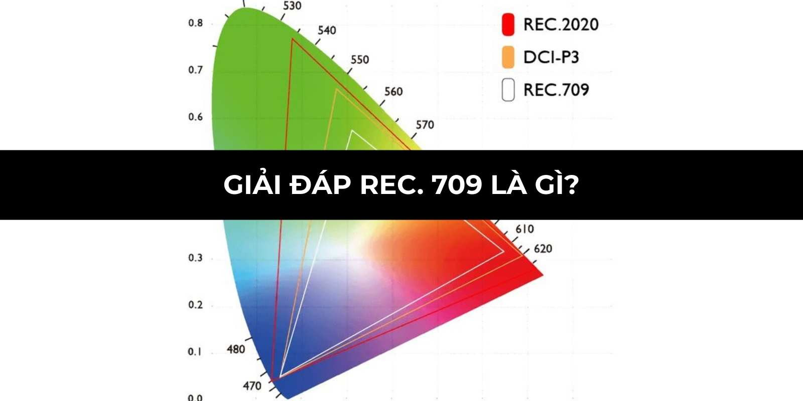 Giải đáp Rec. 709 là gì? Chuẩn màu quan trọng trong hiển thị
