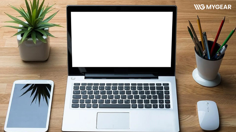 Cách khắc phục tình trạng laptop không nhận chuột