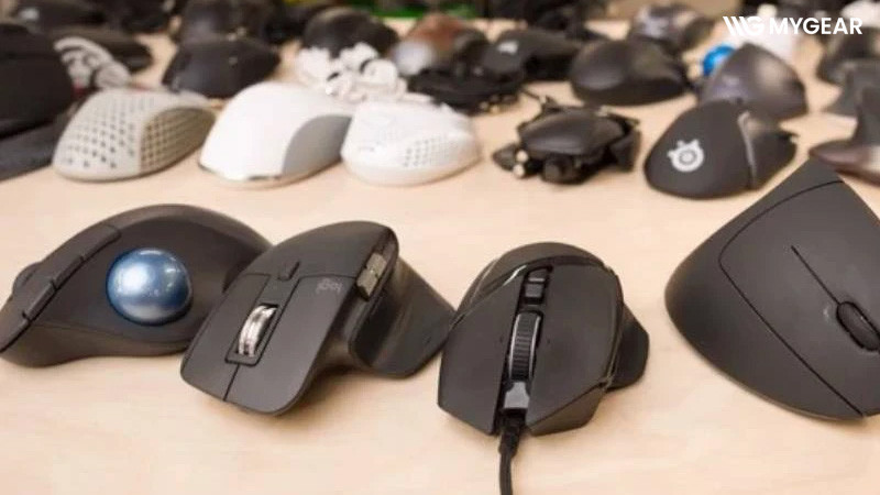 Chuột công thái học có dây và không dây nên chọn loại nào?