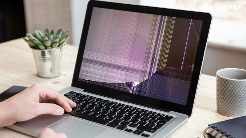 Thay màn hình laptop ASUS: Bảng giá và các dòng hỗ trợ