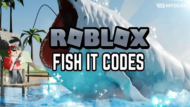 Code Fisch Roblox và cách nhập code