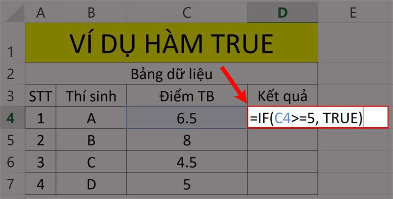 Hướng dẫn sử dụng hàm TRUE trong Microsoft Excel chi tiết, có ví dụ dễ hiểu