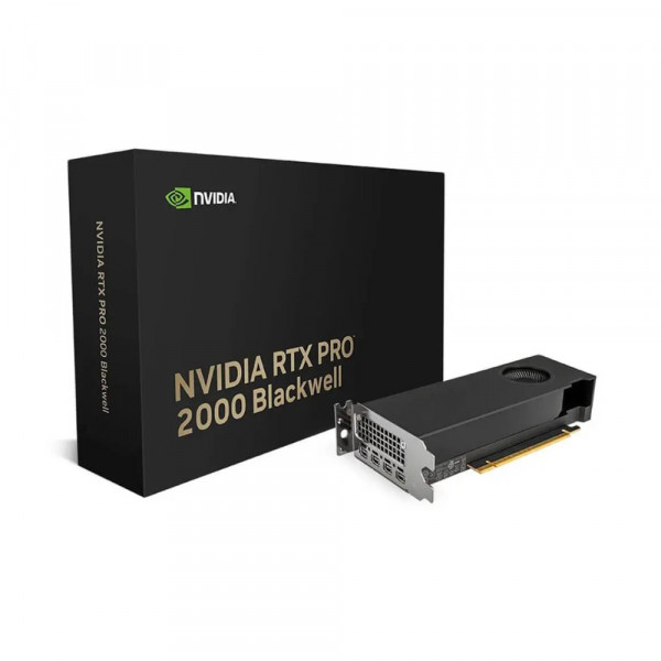 Card màn hình NVIDIA RTX PRO 2000 Blackwell 16GB GDDR7
