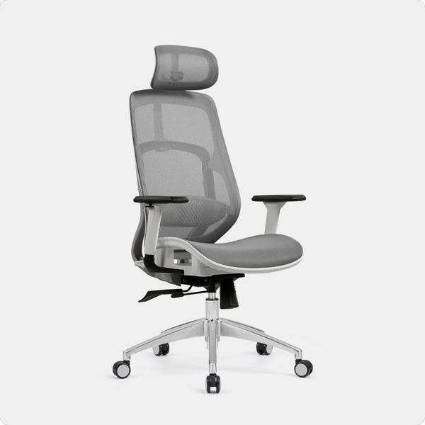 Ghế Công Thái Học Ergolife M57 (Đen/ Xám)
