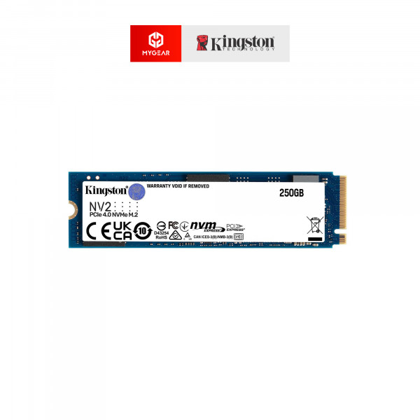 Ổ cứng SSD Kingston NV2 250GB PCIe NVMe M2 (SNV2S/250G)
