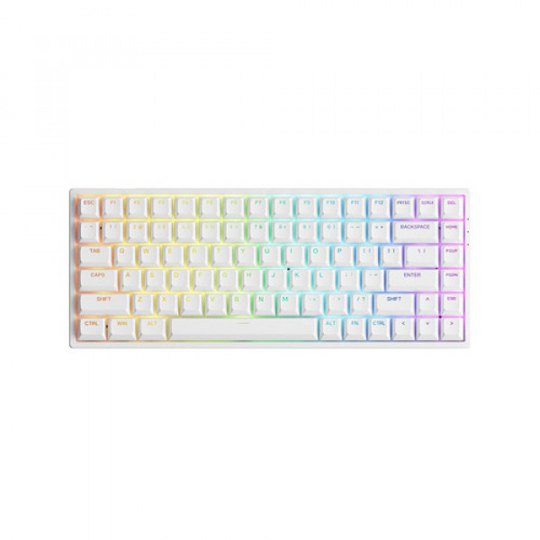 Bàn phím cơ AKKO 3084 v2 RGB - Black / White (Hotswap 5pin/ Có dây)