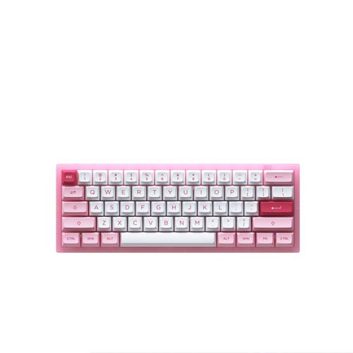Bàn phím cơ AKKO ACR61 Pink AKKO CS Jelly Pink switch