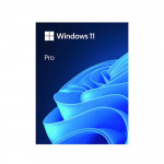 Phần mềm Microsoft Windows 11 Pro FPP 64-bit USB