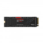 Ổ cứng SSD SanDisk Optimus GX PRO 850X Heatsink 2TB PCIe 4.0 M.2 2280