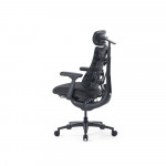 Ghế công thái học LiberNovo Omni Pro