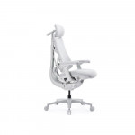 Ghế công thái học LiberNovo Omni Pro