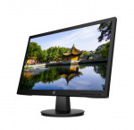 Màn Hình HP V22v 450M4AA 22 inch FHD VA 60Hz (VGA, HDMI)