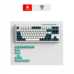 Bàn phím cơ FL ESports CMK87SAM (Hotswap, 3 Mode: USB/2.4/Bluetooth)