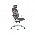 Ghế công thái học HyperWork HPW01 - Hàng chính hãng