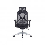 Ghế công thái học HyperWork HPW01 - Hàng chính hãng
