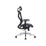Ghế công thái học HyperWork HPW01 - Hàng chính hãng