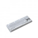 Bàn phím cơ AKKO ACR87 White Akko CS Jelly White switch