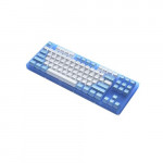 Bàn phím cơ Akko ACR87 Blue Hotswap RGB (Akko CS Jelly Blue)