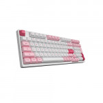 Bàn phím AKKO 3098B Lannesiana (Akko CS Switch – Jelly Pink) | Hàng chính hãng