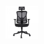 Ghế Công Thái Học Warrior Marshal WEC 610 Black