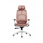 Ghế công thái học HyperWork Airy HPW-OC02
