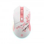 Chuột DAREU EM901X Wireless Gaming 86g 1000Hz Polling Rate