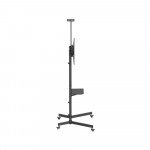 Giá treo TV di động HyperWork Core Stand TVC01
