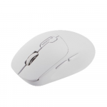 Chuột không dây E-DRA EM605W