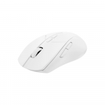 Chuột Gaming không dây Rapoo V300SE Wireless 12000 DPI