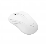 Chuột Gaming không dây Rapoo V300SE Wireless 12000 DPI