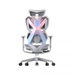 Ghế công thái học Gami X5