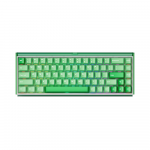 Bàn phím cơ AKKO Ray68 HE Magnetic Switch